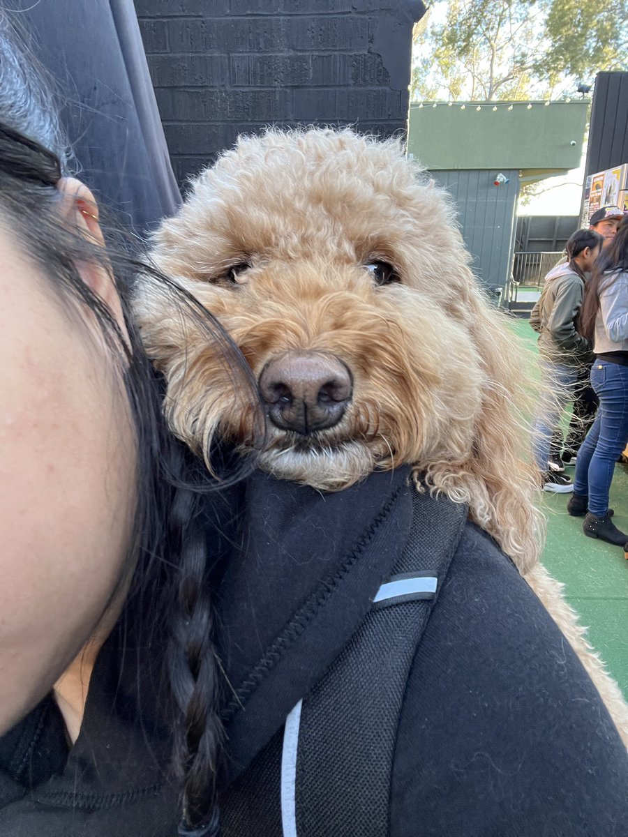 Me &amp; my second shooter 📸