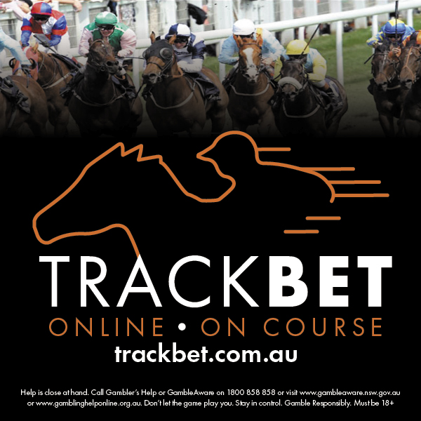Sensational Sunday Racing trackbet.com.au Tote &amp; Exotic Products Available - Great Promo's For Eligible Members. #racing #thevalley #racingnsw #bet #gamble #punt #betlocal📷 #aussieowned #HarnessRacing #Greyhounds #thoroughbreds #trackbetcomau #theraces #bettingtipster