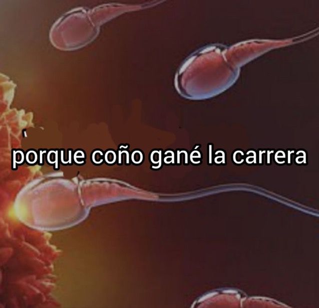 aun sigo preguntandomelo