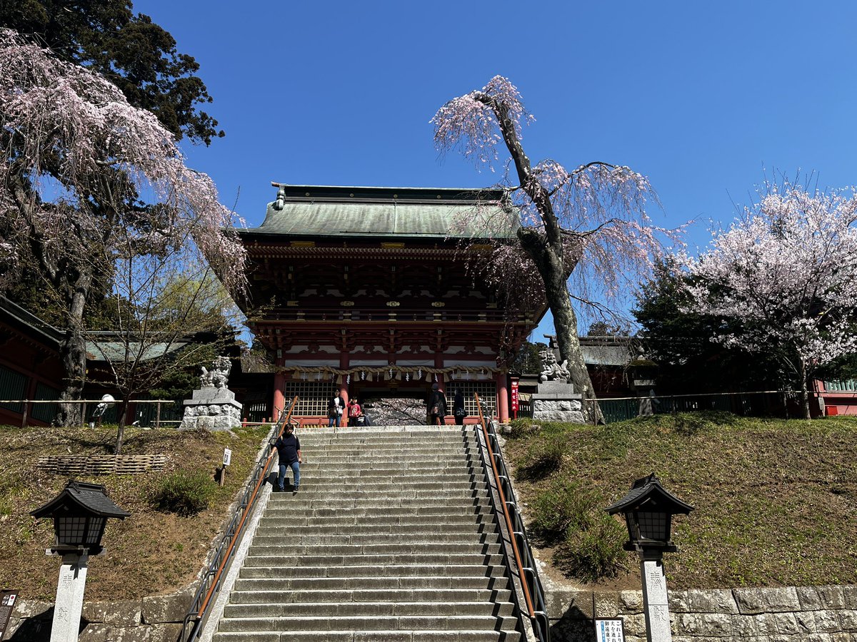 gamahana87's tweet photo. お朔参り⛩✨
桜が例年よりかなり早く満開で、お天気も良くて最高のお参りが出来ました✨‼️
人出も多くかつての賑わいを思い出します☺️✨
#塩竈
#塩釜
#仙台
#宮城県
#宮城観光
#東北観光
#鹽竈神社
#塩竈神社
#桜前線
#花見
#花見スポット https://t.co/mSVZdsswYU