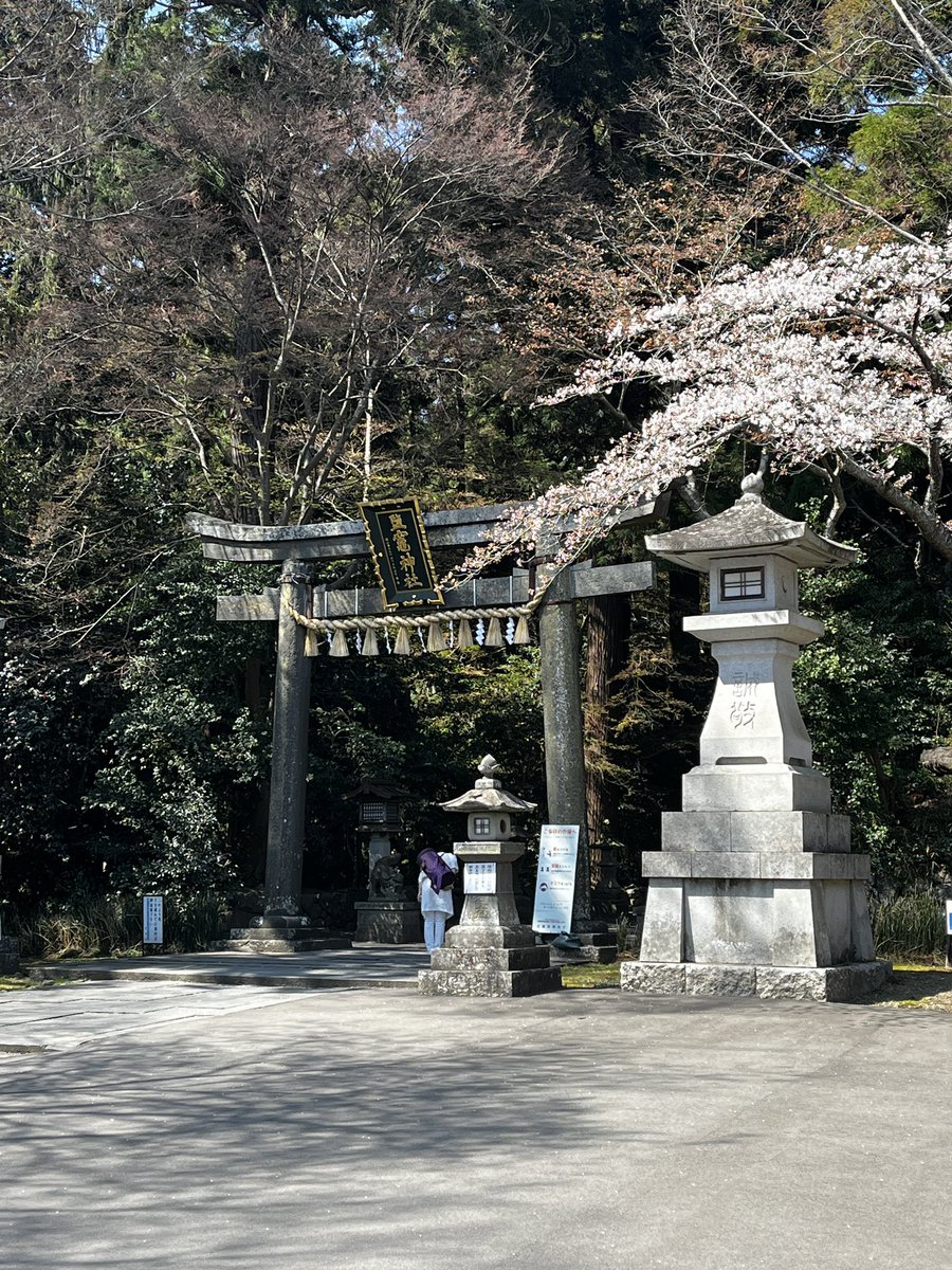 gamahana87's tweet photo. お朔参り⛩✨
桜が例年よりかなり早く満開で、お天気も良くて最高のお参りが出来ました✨‼️
人出も多くかつての賑わいを思い出します☺️✨
#塩竈
#塩釜
#仙台
#宮城県
#宮城観光
#東北観光
#鹽竈神社
#塩竈神社
#桜前線
#花見
#花見スポット https://t.co/mSVZdsswYU