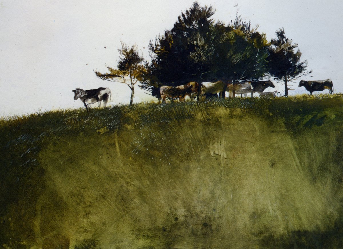 andrewwyethart's tweet photo. Shadey Trees #andrewwyeth #wyeth https://t.co/MEDnwHtyFJ https://t.co/gLtsXcEmxh