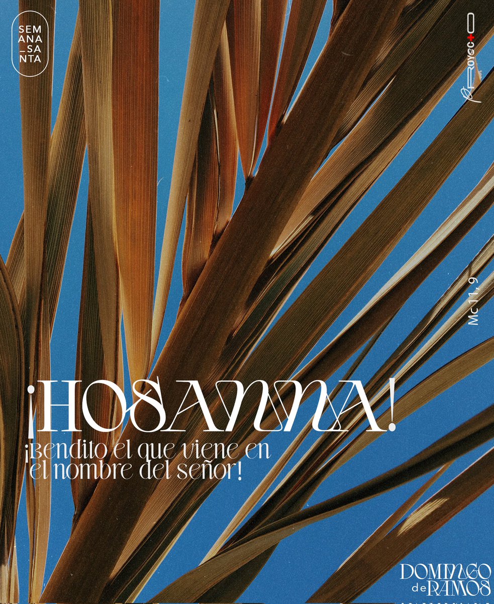 Jesús, a quien las gentes sencillas aclaman cuando entra a Jerusalén, no entra arrogante como un guerrero sobre un carro tirado por caballos, sino manso y humilde sobre un asno. El Reino que Él ha anunciado es distinto de los poderes de este mundo.
Gabriel Jaime Pérez, SJ