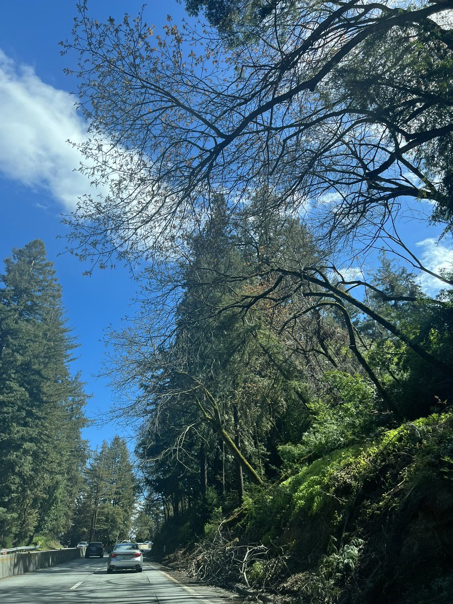 crystaltheczar's tweet photo. just drove through the santa cruz mountains and WOW you can still see evidence of all the recent #landslides and #rockslides from the recent rainfall. upside is that EVERYTHING is so GREEEEEEN https://t.co/SKH5axHkYq