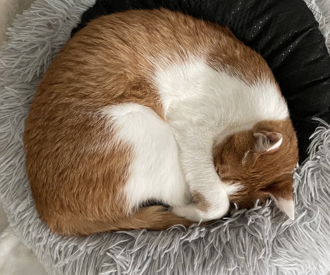 お前を守る事ができた 