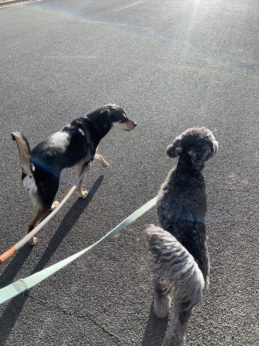 Working double time #mostlyfrens