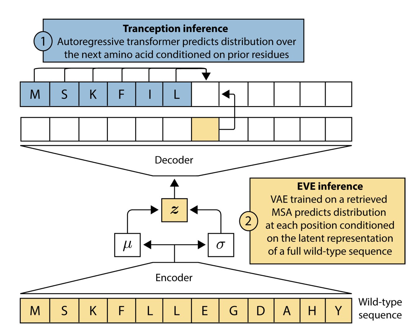 Machine learning for protein engineering seminar (@ml4proteins) / Twitter