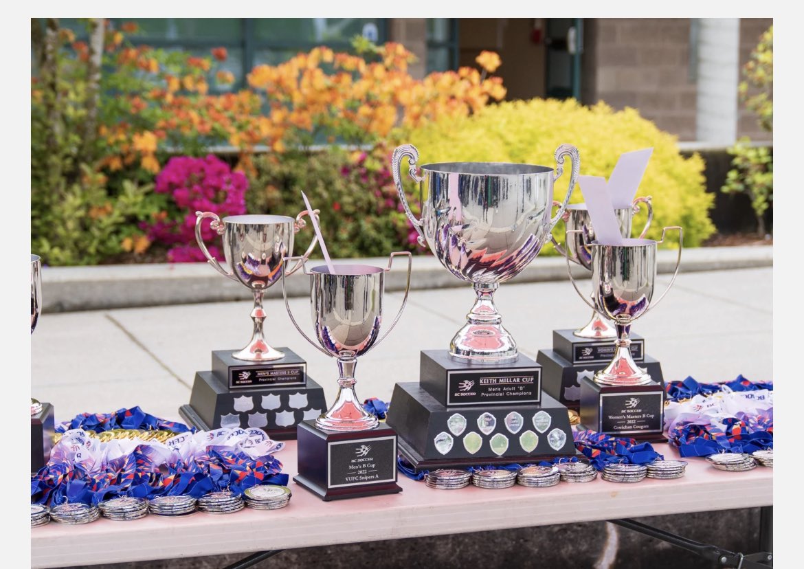 Vince Greco 🇨🇦 🇮🇹 ⚽️ ⚾️ 🥎 🥋 tweet media