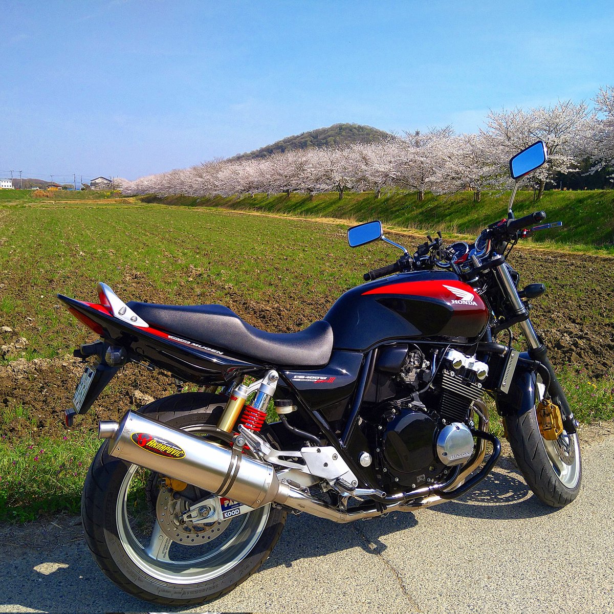 relespy's tweet photo. 桜を満喫
#バイクのある風景 
＃cb400sf
＃nc39 https://t.co/Uloz6d205q