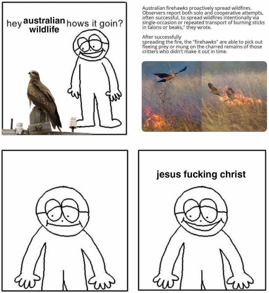 ShitpostGate's tweet image. 