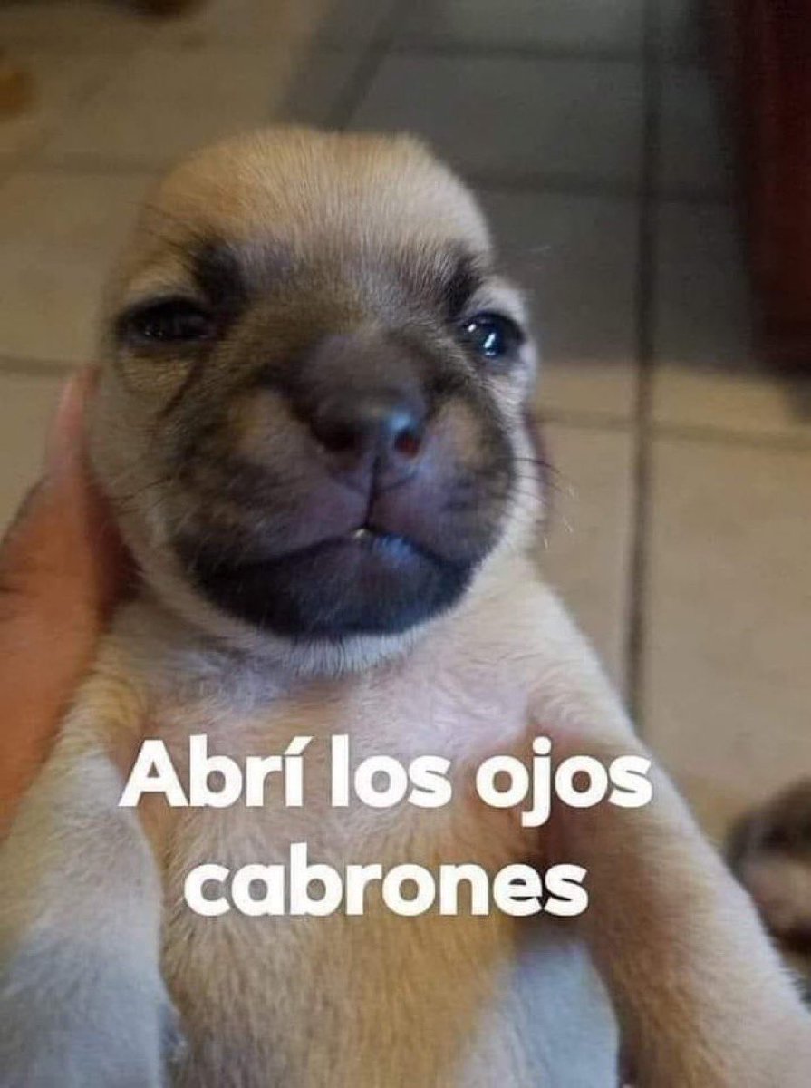 DiloConPerritos's tweet photo. Cuando vas a terapia y te das cuenta de que eres el responsable de las cosas que te pasan: https://t.co/zrxJtS4QGA