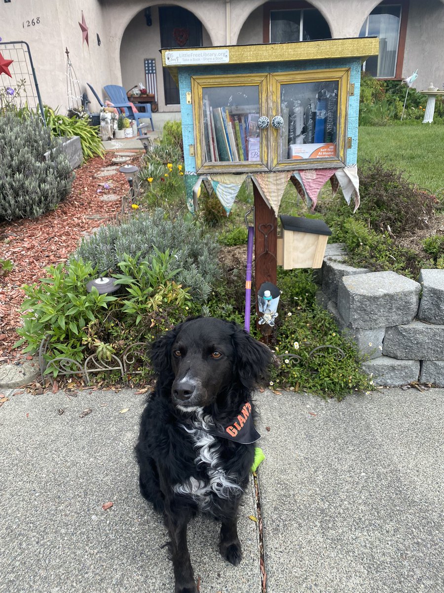 karennau's tweet photo. New features added to my #LittleFreeLibrary #Petaluma #Dogtreats #Poopbags #Leashhook https://t.co/UiTOgfLqvA