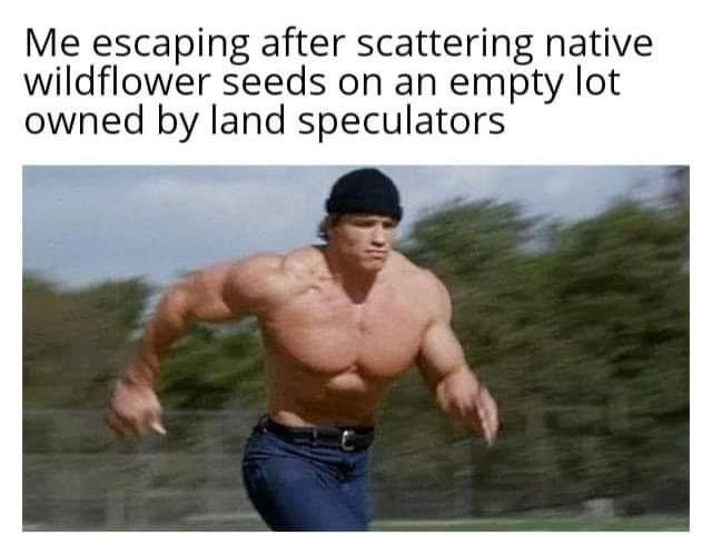 ShitpostGate's tweet photo. https://t.co/lK3lkuYcz7