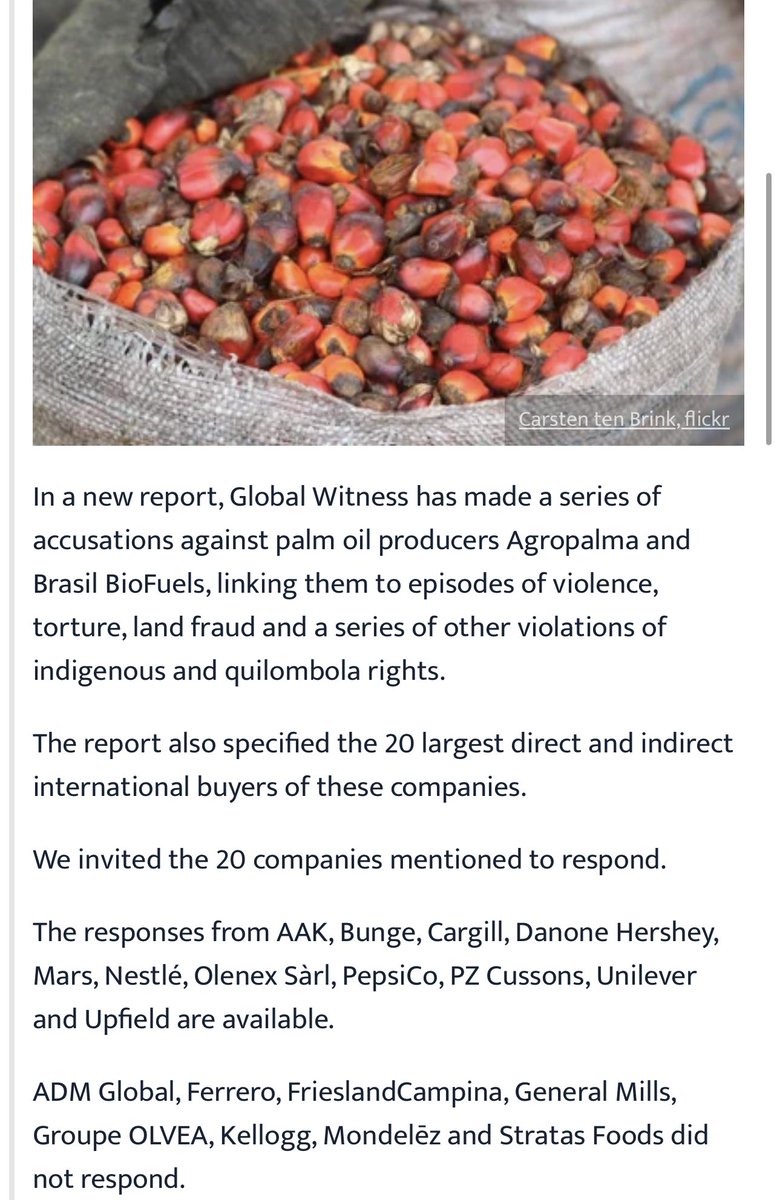 RileyTChiweenie's tweet photo. @aaronshem @ECOWARRIORSS @BoycottPalmOil @PalmOilDetect @TracyHeather22 @CadburyUK @NDCS_UK @RSPOtweets @MDLZ @Global_Witness @HumanRightsCtte @CHRI_UK @westpapuamedia @UNICEF_PNG @UNinPNG @merdeka_wp @EU_Commission @ECCHRBerlin @DairyMilkIn @Dirkvandeput An improvement over the norm? There’s no excuse for child labor/other human rights violations..The huge palm oil suppliers &amp; buyers 
like @SDPlantation @Musimmas_Group #AgroPalma #AAK #Wilmar @Cargill @Unilever … should know better, do better yet history keeps repeating itself. https://t.co/TqBNBTf0QN