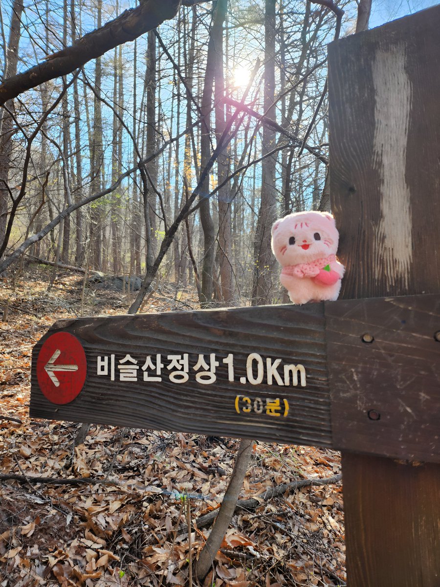 숩달이의 비슬산 정복기⛰️
