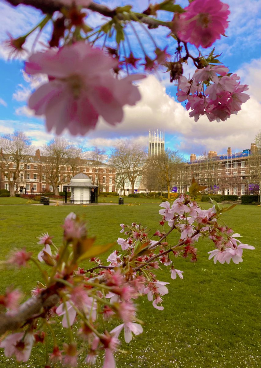 Peace in Abercromby Square with the Metropolitan Cathedral in the background￼￼