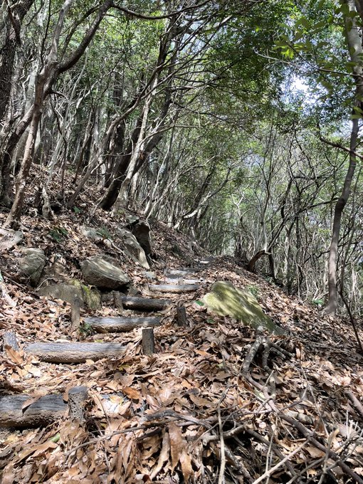 山登り！！！トトロみたいな森、？？山だった🌳🌳 