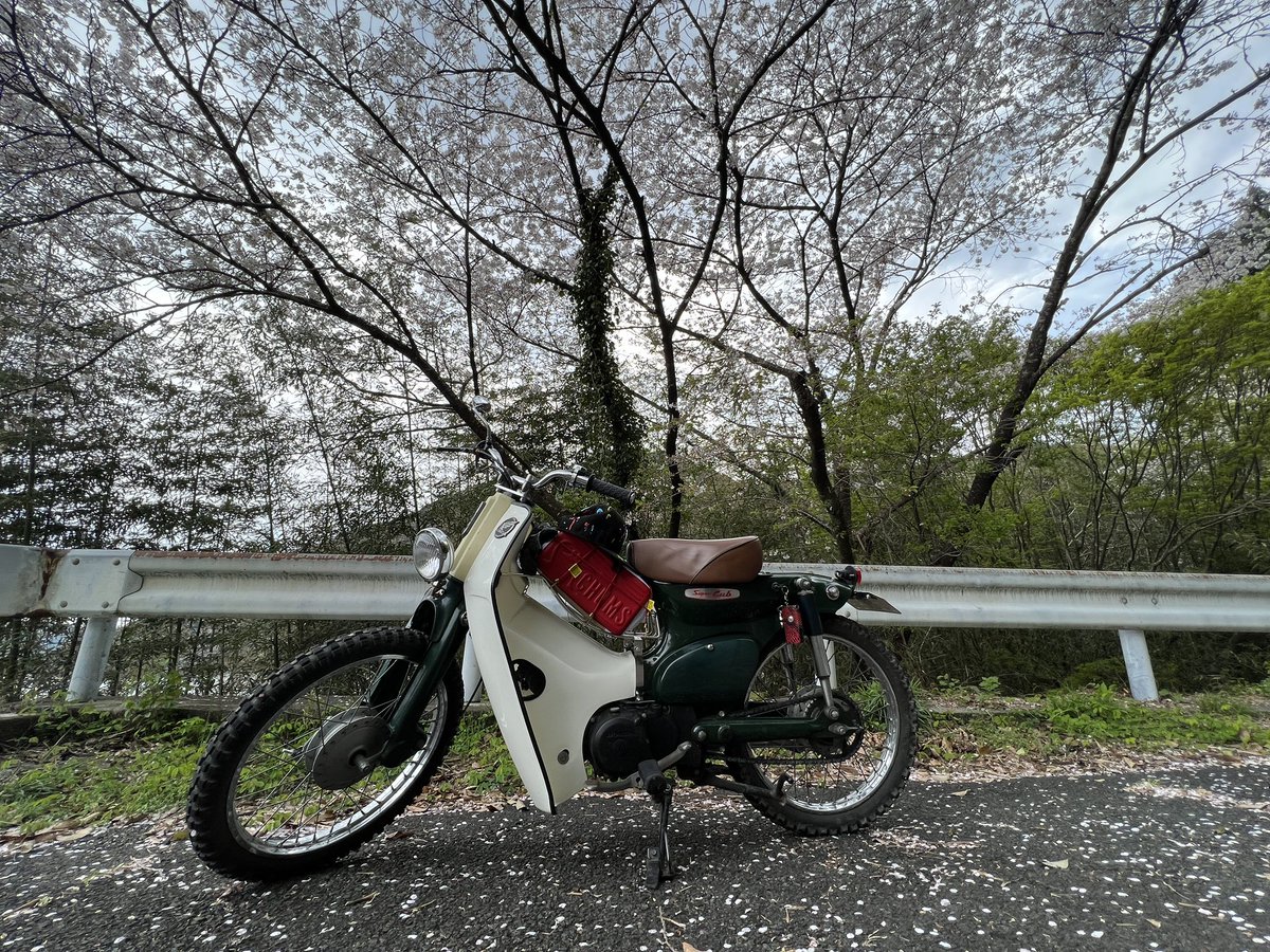 Dcraft2022's tweet photo. テ��ト撮影で桜を見に来たよ!
もう散り始めてるね〜🌸
#YouTube #スーパーカブ #DAITAI https://t.co/hm9Rw8CDVx