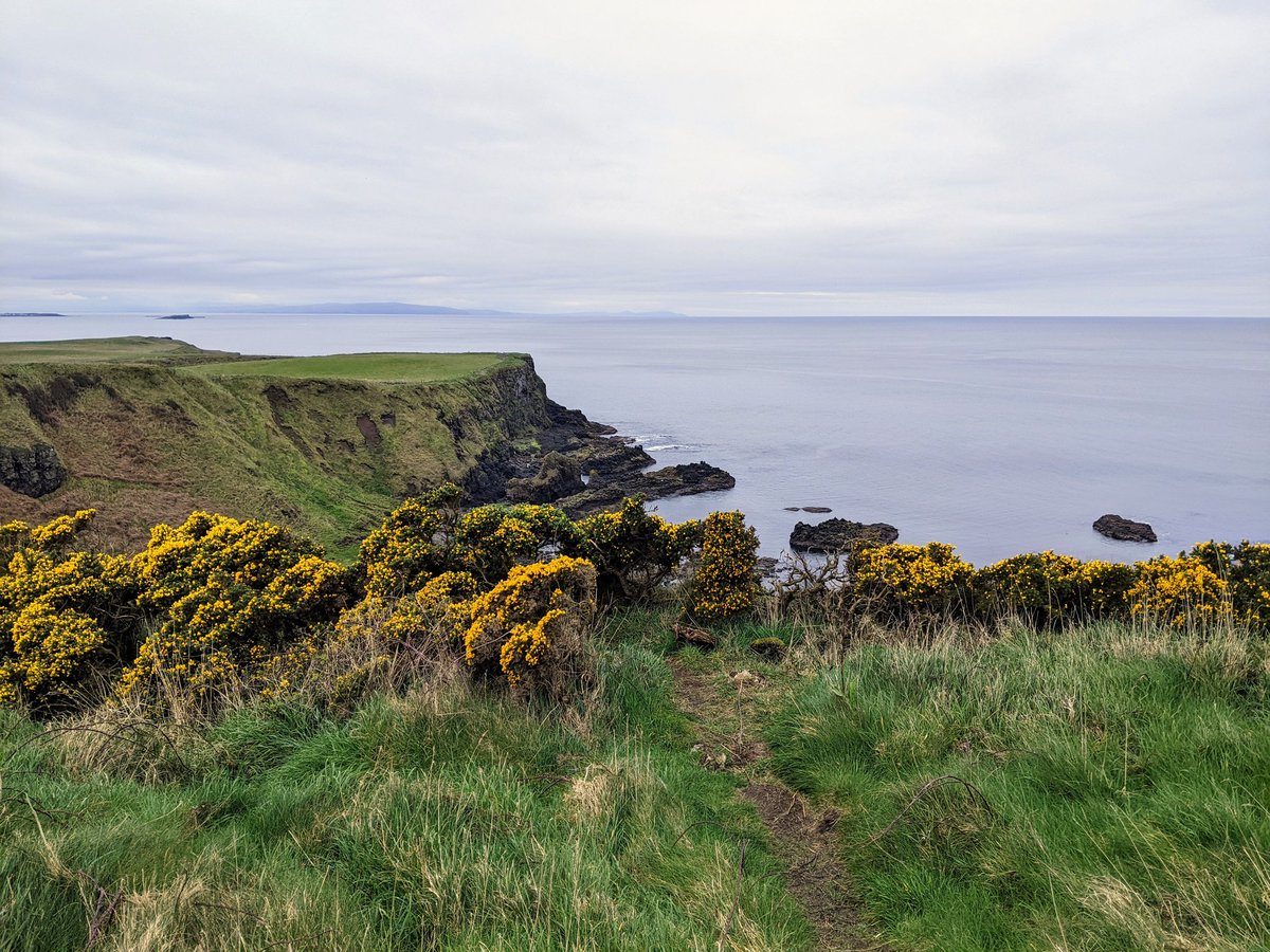 ernes7a's tweet photo. Gloomy, mysterious, spectacular – _northern_ Northern Ireland. https://t.co/cGQSFs9b24