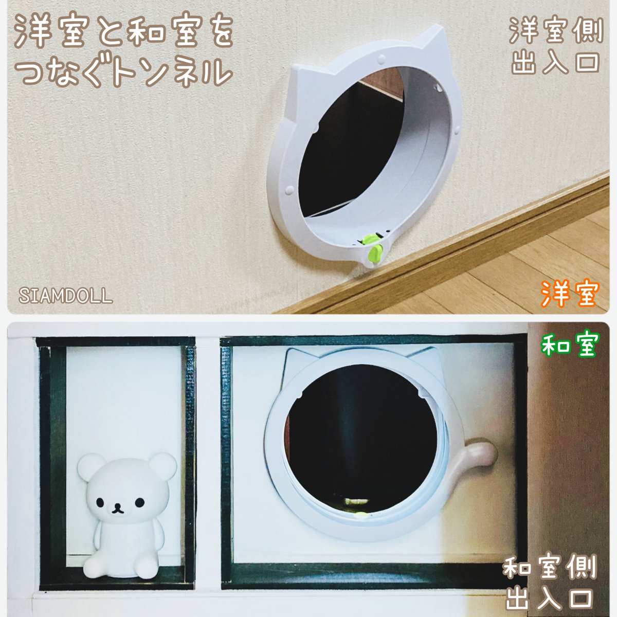 SIAMDOLL tweet media