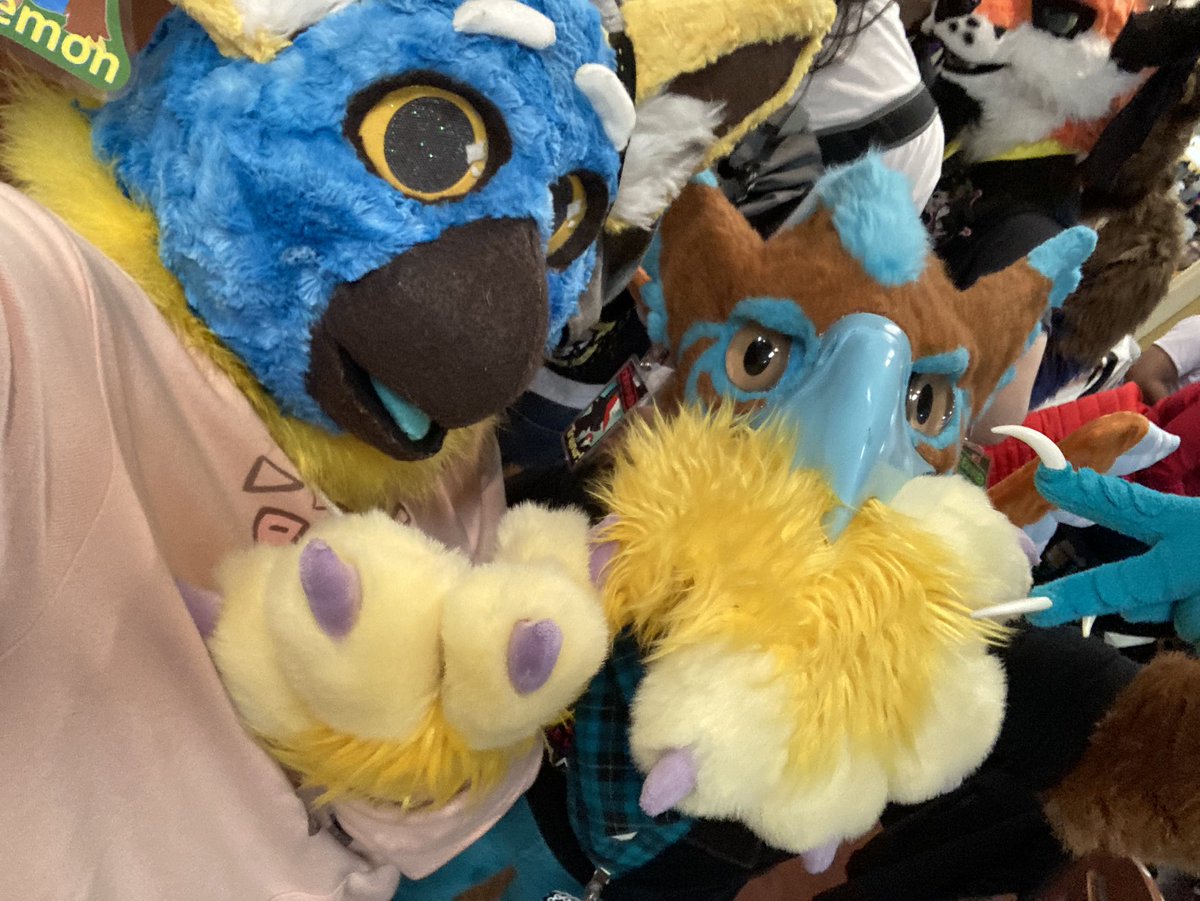 BlemonTheBirb's tweet photo. A bit late for a #FursuitFriday, but I had my PAW stolen by @Origamigryphon!! >:0 https://t.co/YLBlviMRzQ