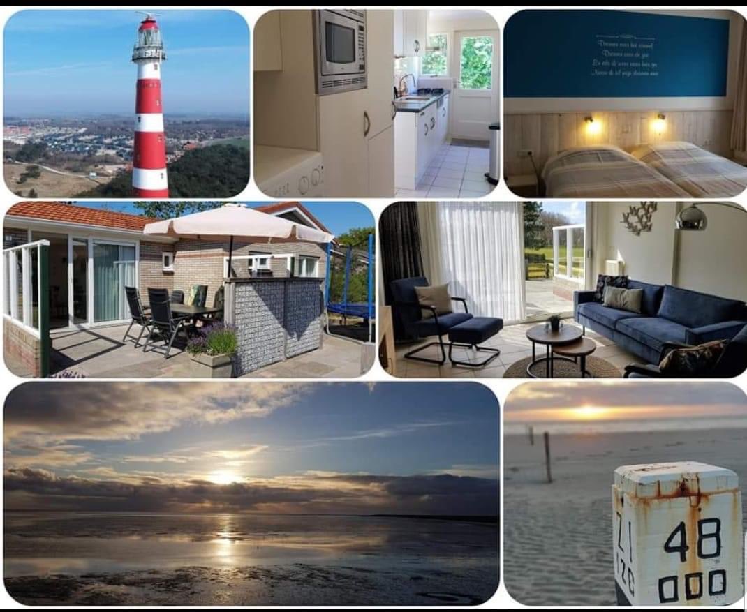 Ameland vakantie tweet media