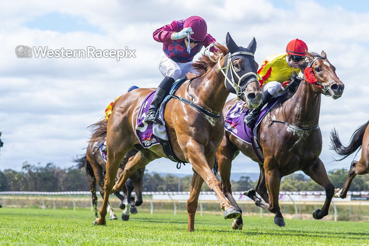 WesternRacepix's tweet photo. MAGNUM CLASS - Pinjarra Sun 2nd April @PinjarraPark #WesternRacepix #PinjarraCupDay

More 📸 https://t.co/SigLznY1t7 https://t.co/Ia6xlavIrK