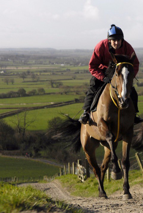 KingKautoV's tweet photo. Kauto’s Sunday Best… Clifford and the superstar on Ditcheat gallops…Amazing! https://t.co/OEpDhQhLII