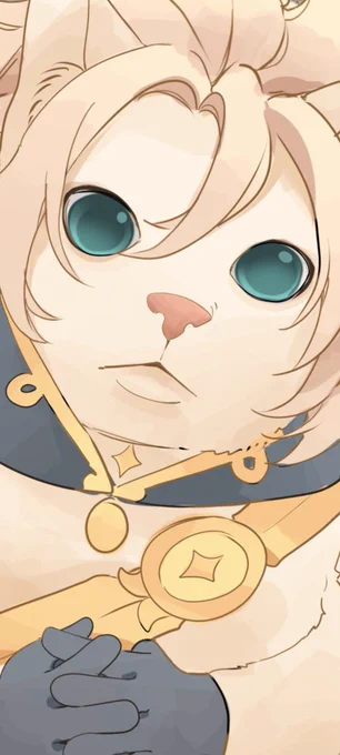 Sorry if my catbedo traumatized you, i will do it again  
