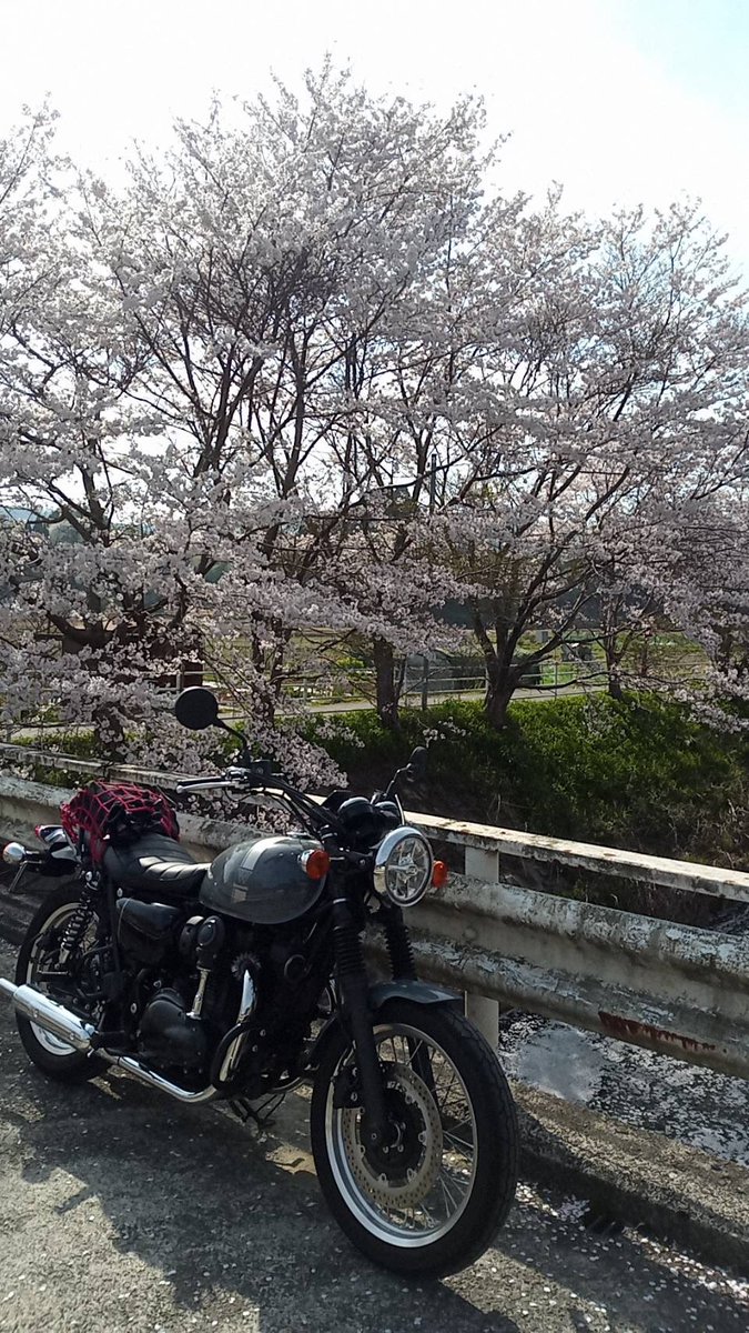 jakewil416's tweet photo. 桜ツーリング🌸
奈良県の宮奥ダムの近くで撮影
この後雨降って非常に疲れました☔️
日帰りにしては気合い入れすぎたかな😅あと150キロ気をつけて帰宅します！ https://t.co/AGkB69254H