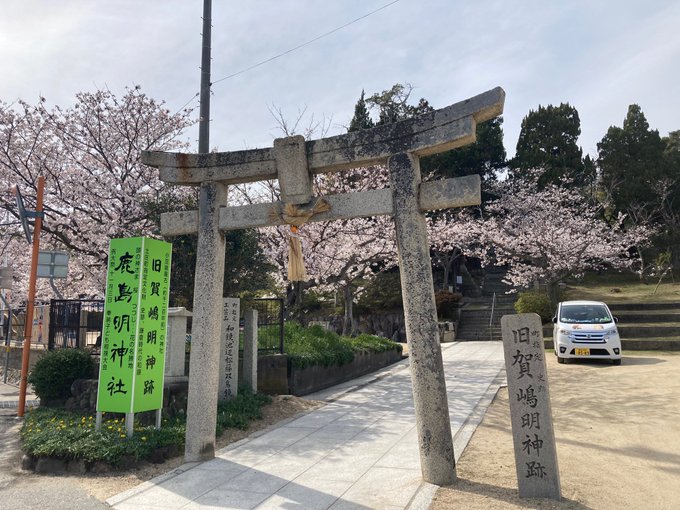 鹿島明神社さんの桜も満開を迎えました🌸🌸🤗感無量です！☺️#小豆島#高木さんめ#鹿島明神社 