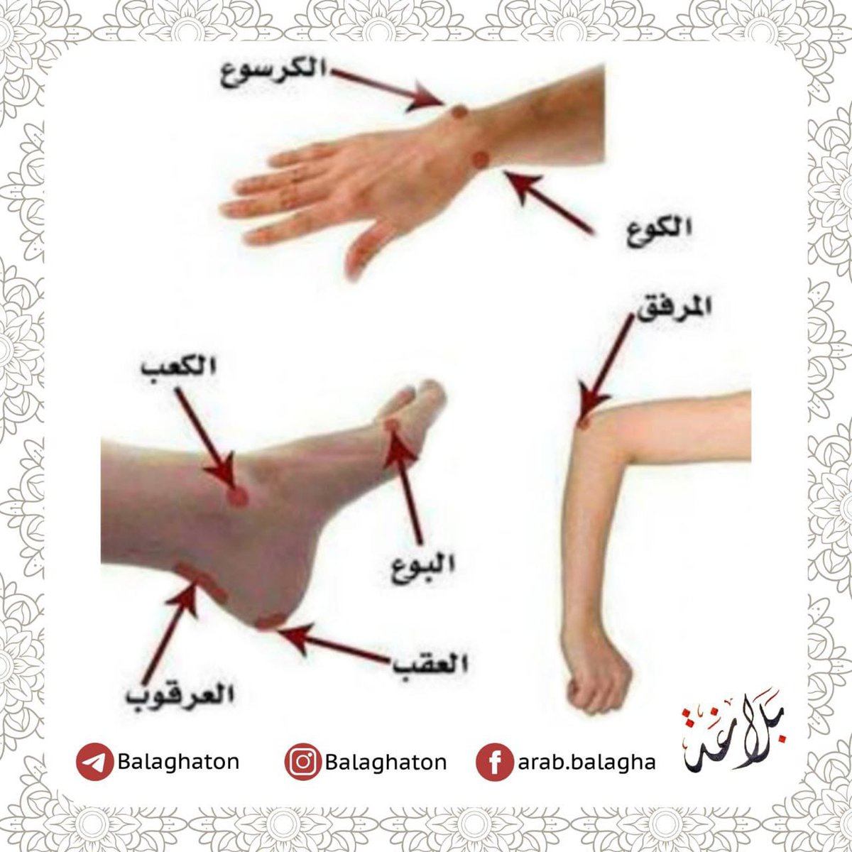 tatweer_edu's tweet photo. بلاغة... https://t.co/TTqA0FBcKC