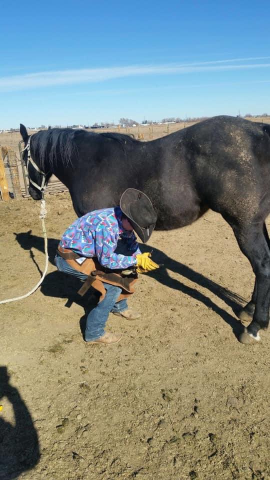Loftus Livestock LLC tweet media