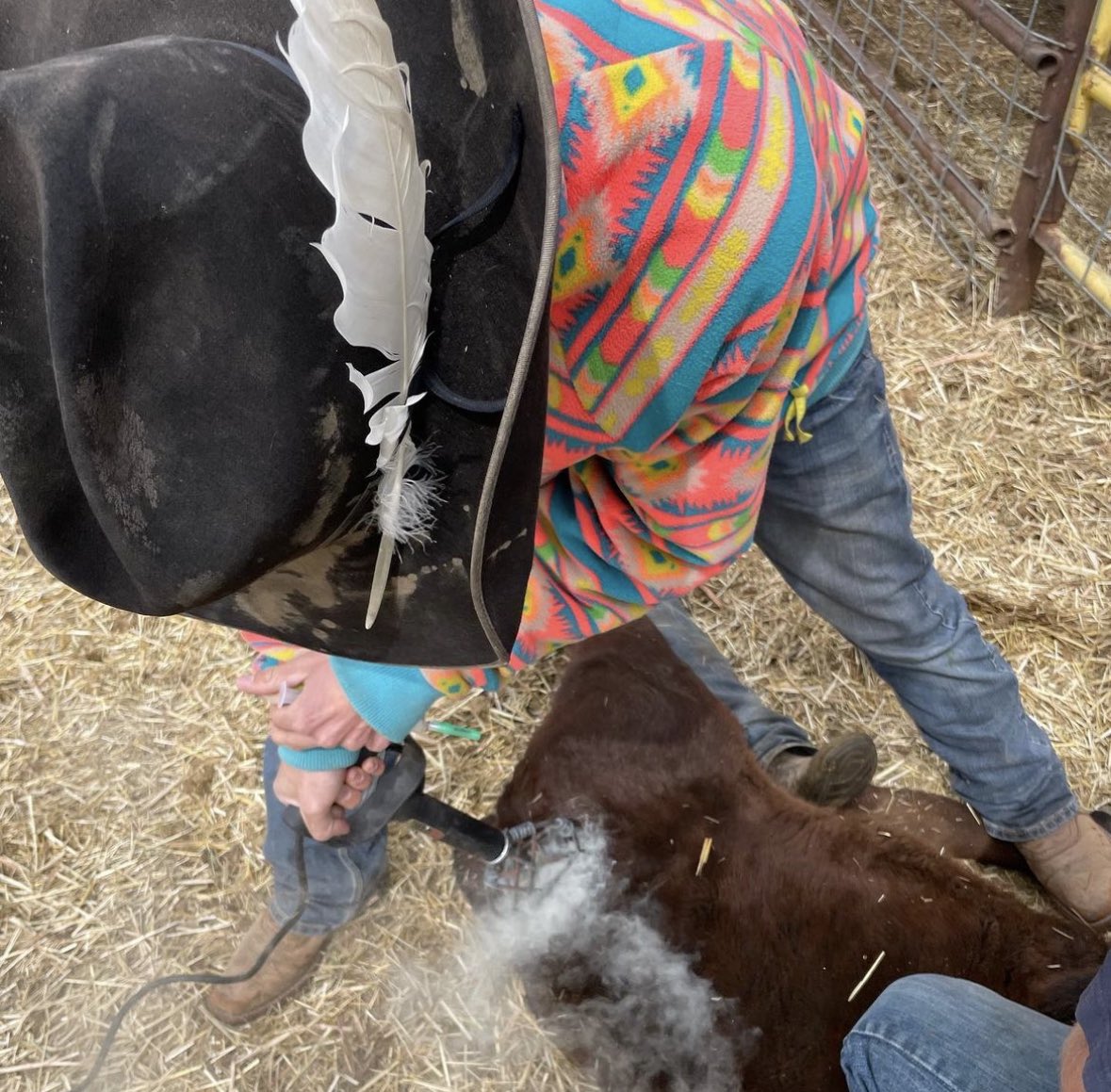 Loftus Livestock LLC tweet media