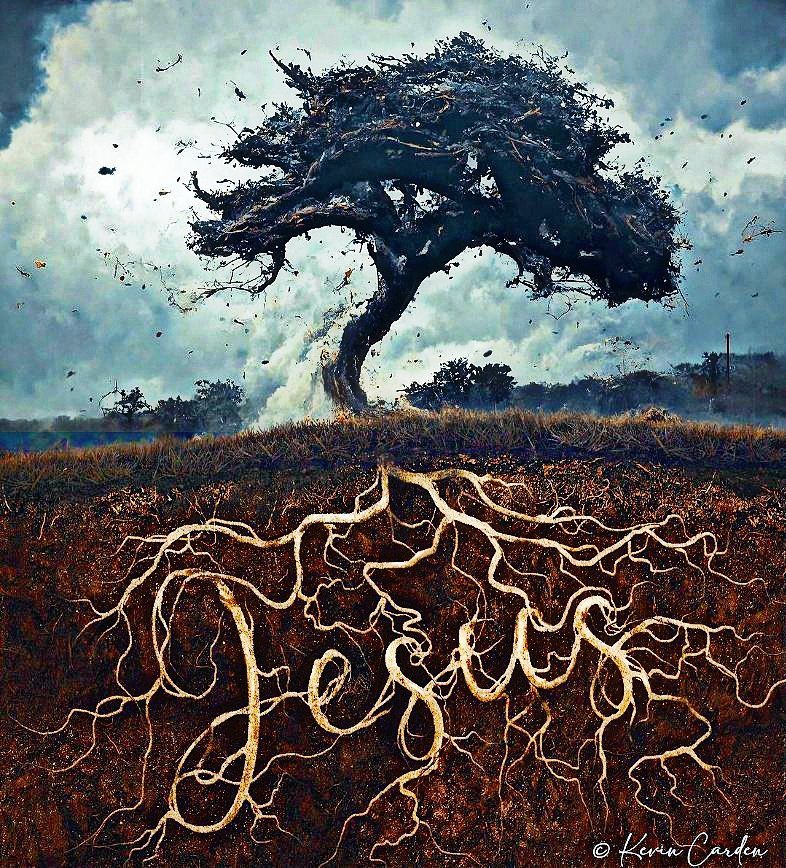 CallMeAmillion's tweet photo. You ARE Blessed. β¨
βBut blessed is the one who trusts in the LORD, whose confidence is in him. He is like a tree planted by water, that sends out its roots by the streamβ¦..β Jeremiah 17:7
#Jesus #Bloodline #rootedinJesus #trustInTheLord #confidence #blessed #fruitful https://t.co/Xy6ezucd9o