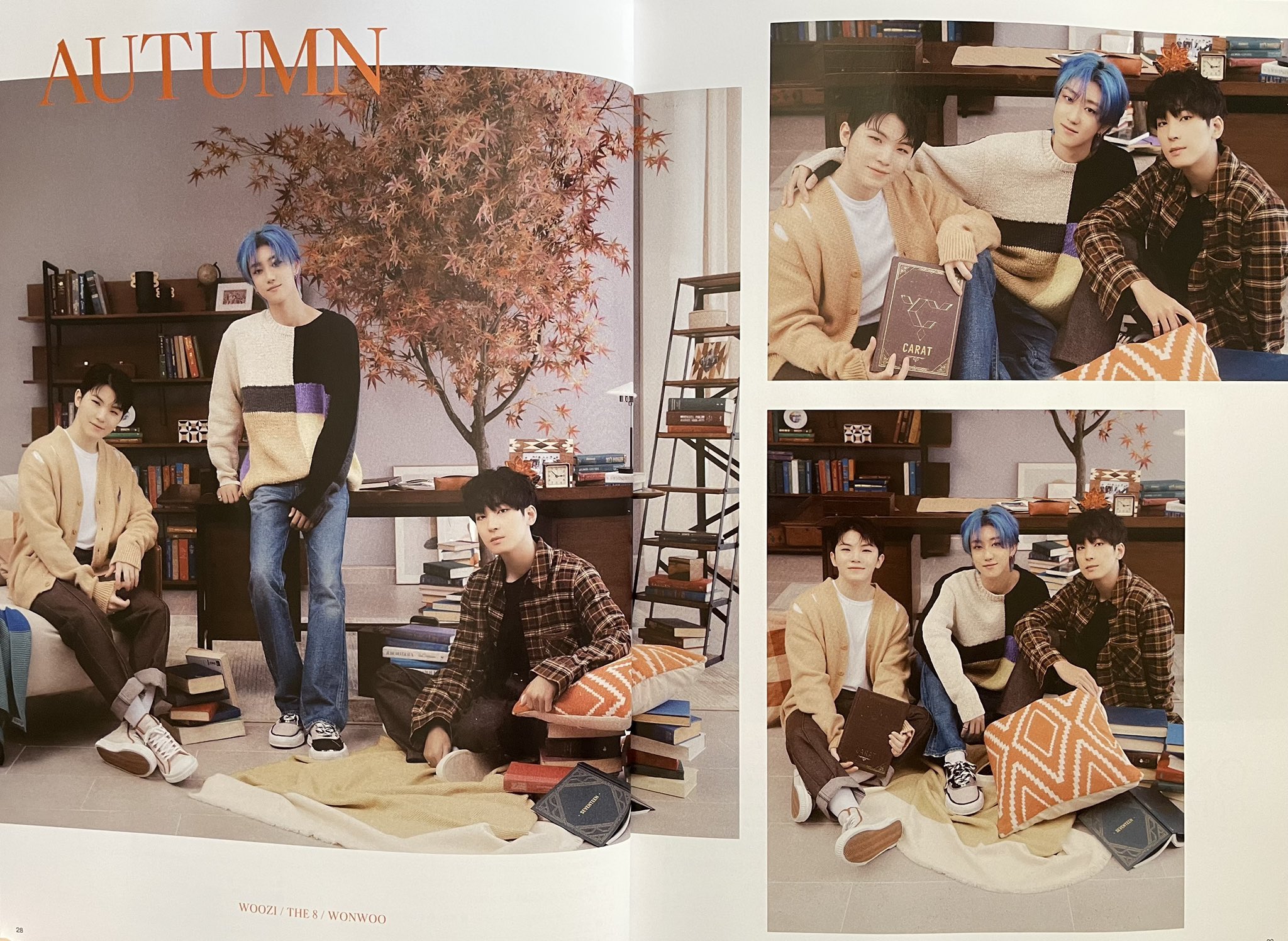 SEVENTEEN CARAT MAGAZINE Vol.12