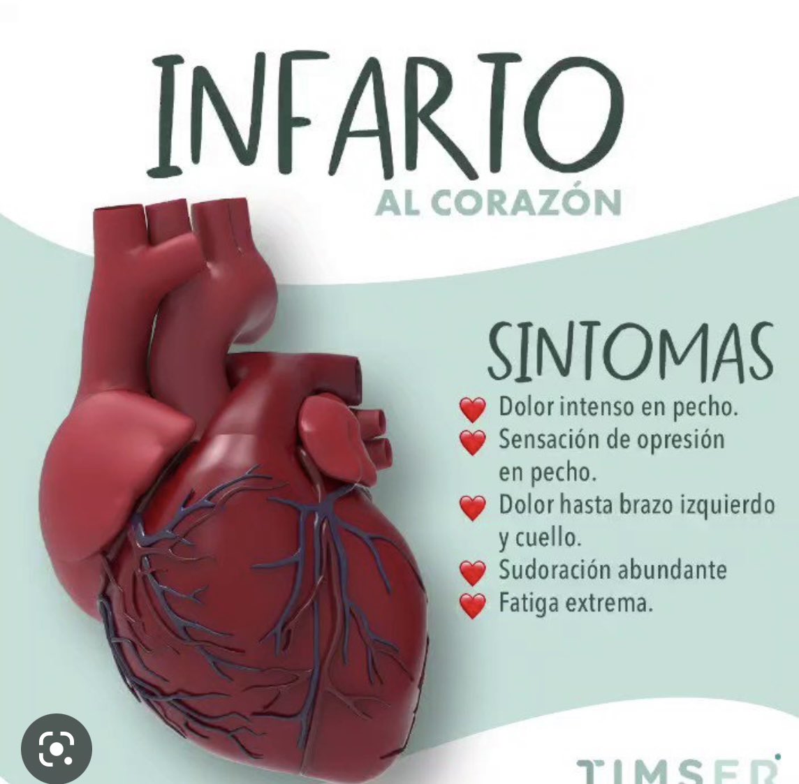 PedroFerriz's tweet photo. Este fin de semana fue complicado en Palacio.
Al rey le dio un infarto.
Es el cuarto en su haber.
Se le practicó un cateterismo en el Hospital Militar.
Le ordenan reposo absoluto.
Nada nuevo.

#UnderMyWriting #UMW https://t.co/nfFRWqTxTD
