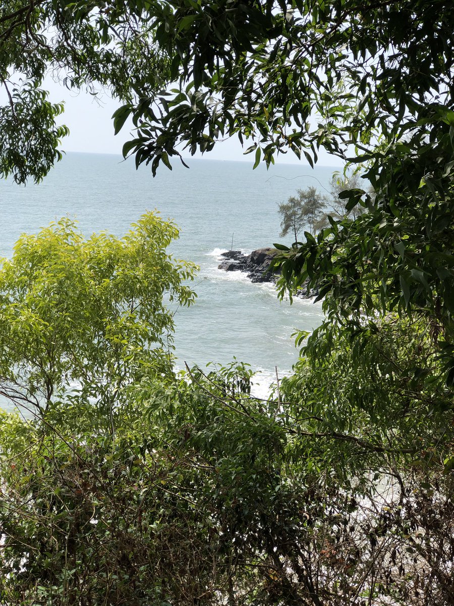 Search “water” in your camera roll and quote with the best pic.