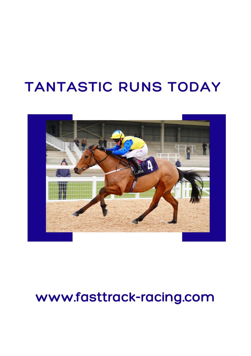 FastTrackRacin1's tweet photo. TANTASTIC runs today @DoncasterRaces for @JSWRacing 
#fun #HorseRacing https://t.co/f1PsMTjhNL