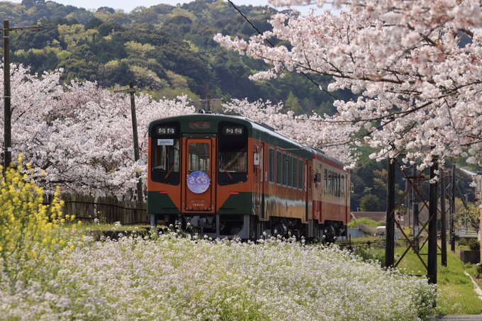 ゆるキャン待ってたら、増結来た 