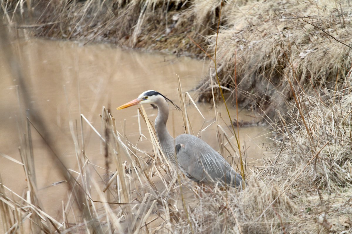 John@TheNews tweet media