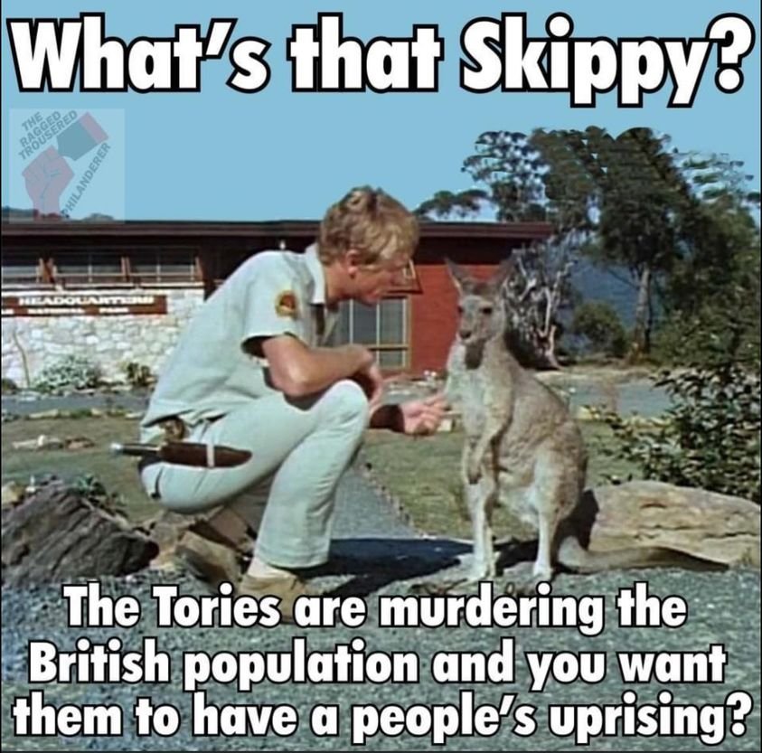 dodgson_sally's tweet image. 