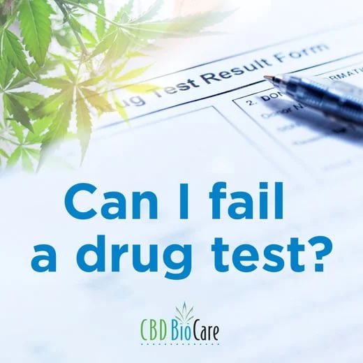 Here's the most common question about #CBD...

Watch this short video to find out the answer - youtu.be/Qljs4GsPP-o

Shop all CBD deals - cbdbiocare.com/?a_aid=CBDreli…