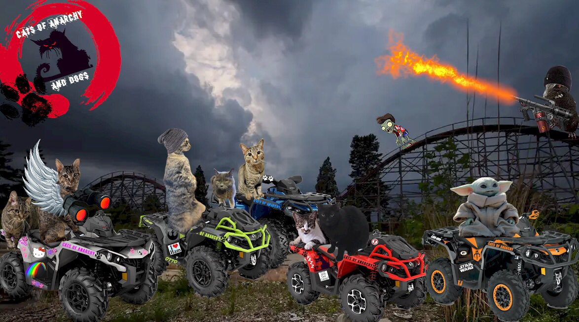 CATSOFANARCHYA1's tweet photo. #CatsOfAnarchy we’ve gotten reports of zombs running amuck! @FeLV_cat Sculpture do you sees anything?…wait I think Izzy found something! 😹😹 #CatsOfTwitter #cats #dogs https://t.co/pBefvc8GvB