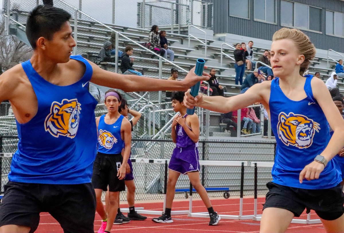 Renee Smith tweet media