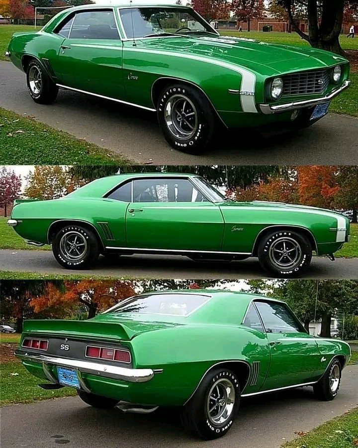 DeborahMat66035's tweet image. 