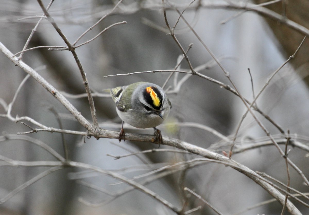 John@TheNews tweet media