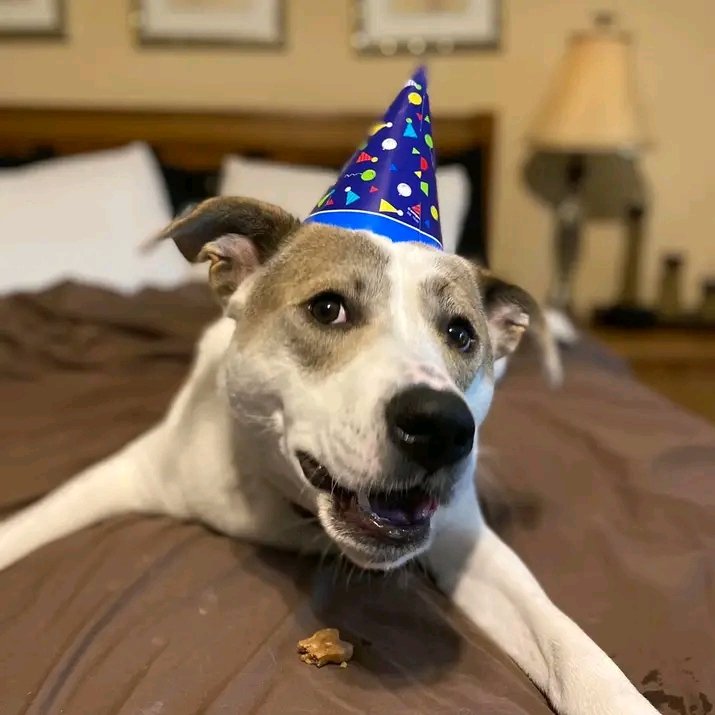 DeborahMat66035's tweet image. 