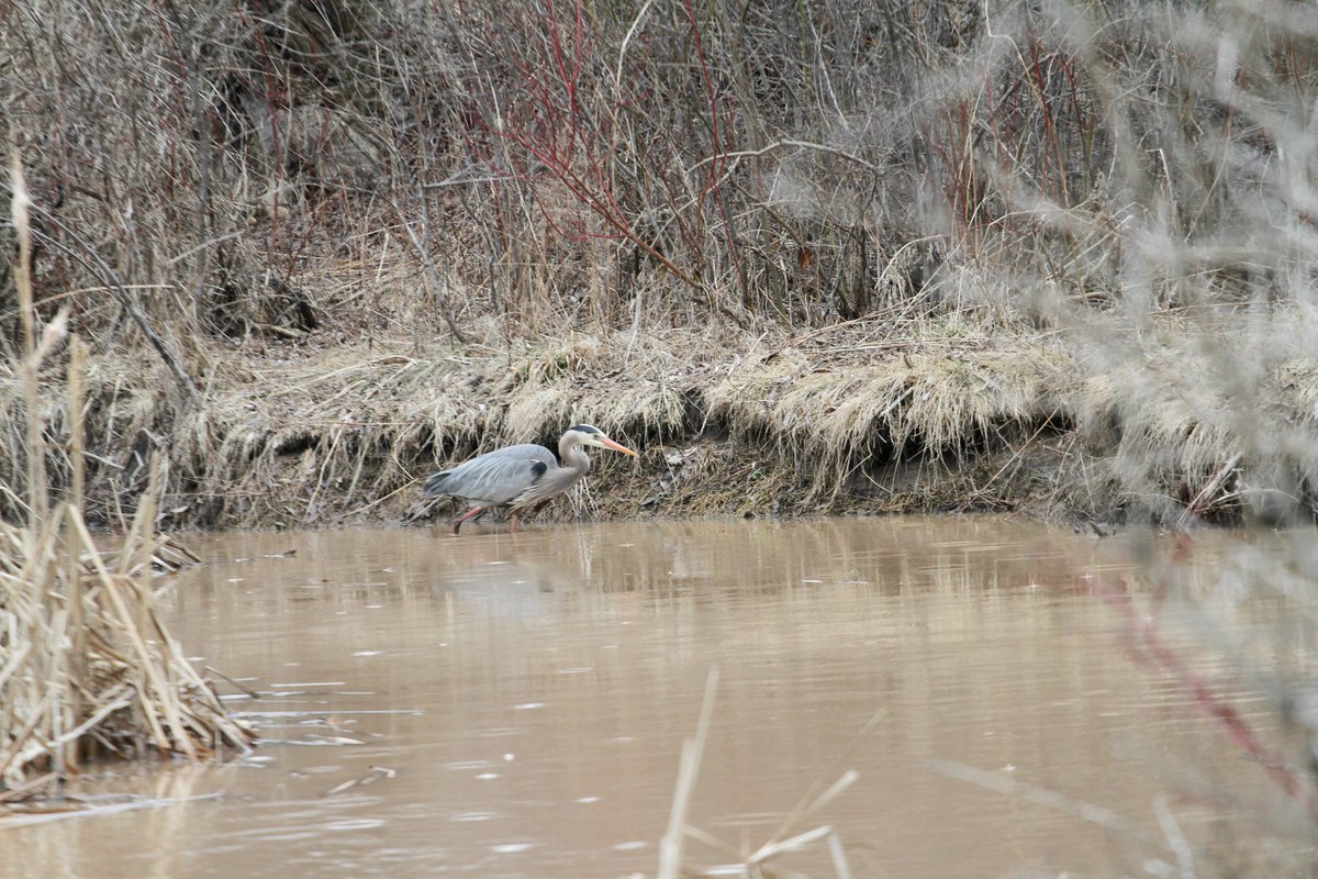 John@TheNews tweet media