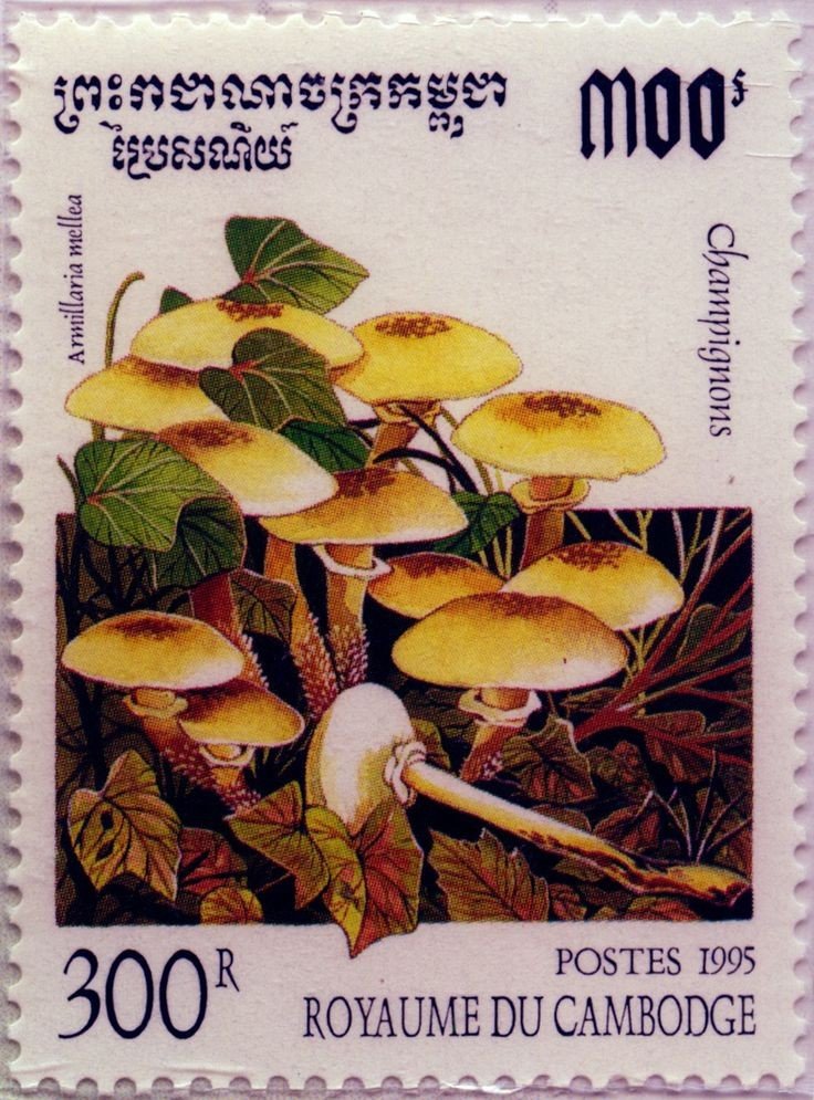 mushroom stamps from <a href="/goticulona/">L 🦂</a>